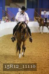 15R12_11110 thumbnail
