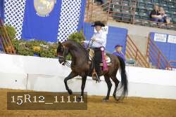 15R12_11111 thumbnail
