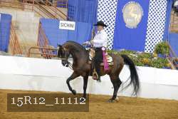 15R12_11112 thumbnail
