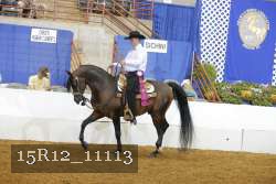 15R12_11113 thumbnail