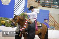 15R12_11117 thumbnail