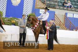 15R12_11118 thumbnail