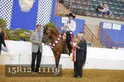 15R12_11119 thumbnail
