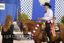 15R12_11120 thumbnail