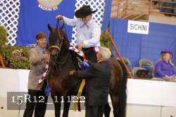 15R12_11122 thumbnail