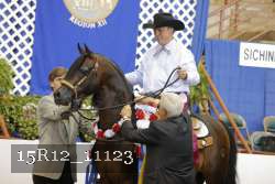 15R12_11123 thumbnail