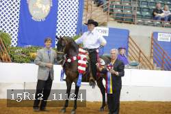 15R12_11124 thumbnail
