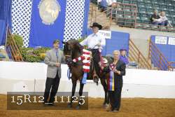15R12_11125 thumbnail
