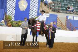 15R12_11126 thumbnail