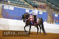 15R12_11127 thumbnail
