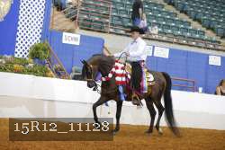 15R12_11128 thumbnail