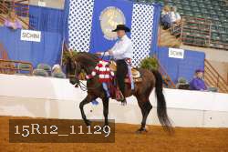 15R12_11129 thumbnail