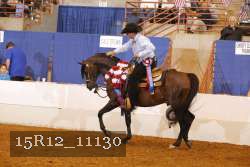 15R12_11130 thumbnail