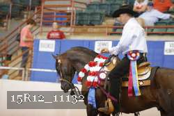 15R12_11132 thumbnail
