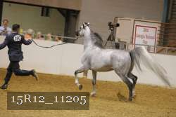 15R12_11205 thumbnail