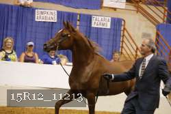 15R12_11213 thumbnail