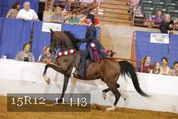 15R12_11443 thumbnail