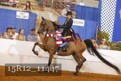 15R12_11447 thumbnail