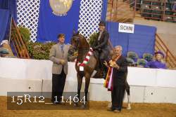 15R12_11464 thumbnail