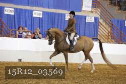 15R12_03569 thumbnail