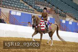 15R12_03653 thumbnail