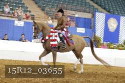 15R12_03655 thumbnail
