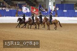 15R12_07840 thumbnail