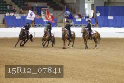 15R12_07841 thumbnail