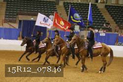 15R12_07846 thumbnail