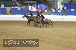 15R12_07850 thumbnail