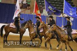 15R12_07857 thumbnail