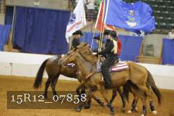 15R12_07858 thumbnail