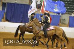 15R12_07859 thumbnail
