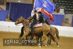 15R12_07860 thumbnail