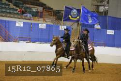 15R12_07865 thumbnail
