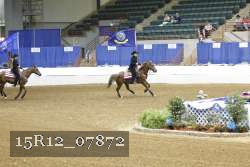 15R12_07872 thumbnail