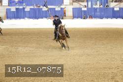 15R12_07875 thumbnail
