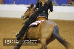 15R12_07877 thumbnail