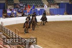 15R12_07885 thumbnail