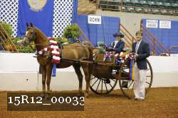 15R12_00033 thumbnail