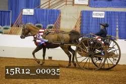 15R12_00035 thumbnail
