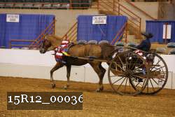 15R12_00036 thumbnail