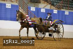 15R12_00037 thumbnail
