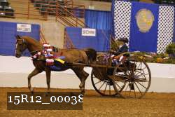15R12_00038 thumbnail