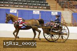 15R12_00039 thumbnail