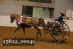 15R12_00040 thumbnail