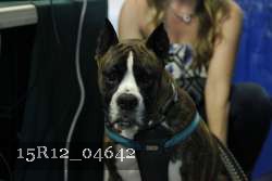 15R12_04642 thumbnail
