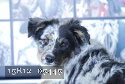 15R12_05445 thumbnail