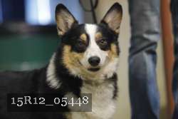 15R12_05448 thumbnail