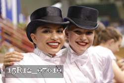 15R12_07610 thumbnail